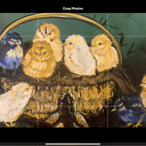 Baby chicks in a basket by Yotayleigh llc - Picture 1 of 1